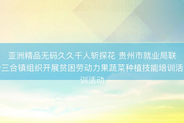 亚洲精品无码久久千人斩探花 贵州市就业局联合三合镇组织开展贫困劳动力果蔬菜种植技能培训活动