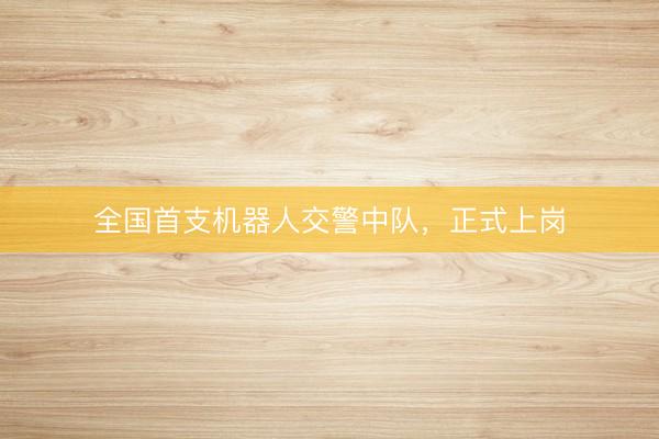 全国首支机器人交警中队,正式上岗