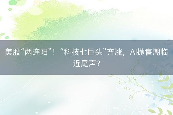 美股“两连阳”！“科技七巨头”齐涨，AI抛售潮临近尾声？