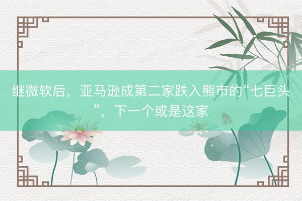 继微软后，亚马逊成第二家跌入熊市的“七巨头”，下一个或是这家