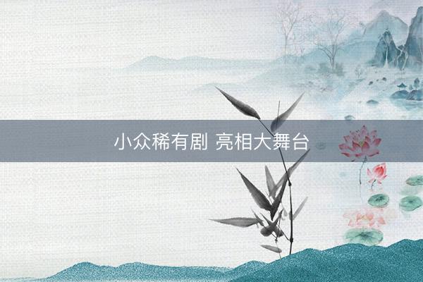小众稀有剧 亮相大舞台
