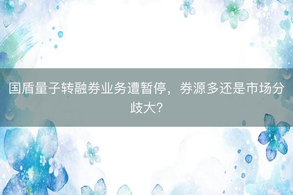 国盾量子转融券业务遭暂停，券源多还是市场分歧大？