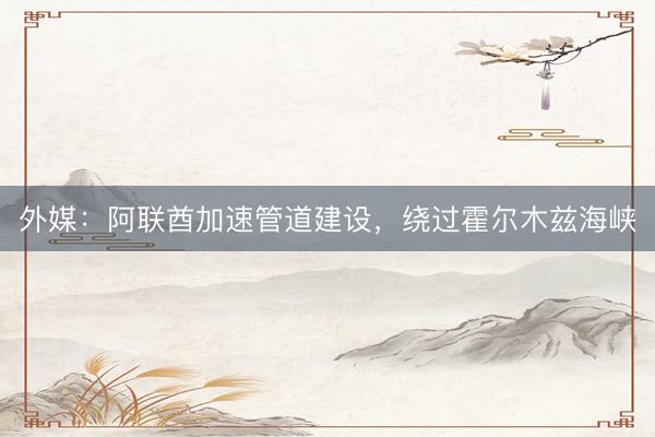 外媒：阿联酋加速管道建设，绕过霍尔木兹海峡