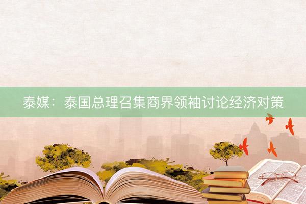 泰媒：泰国总理召集商界领袖讨论经济对策