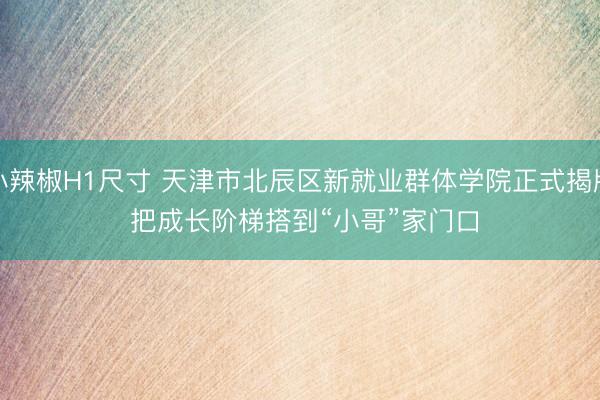 小辣椒H1尺寸 天津市北辰区新就业群体学院正式揭牌 把成长阶梯搭到“小哥”家门口