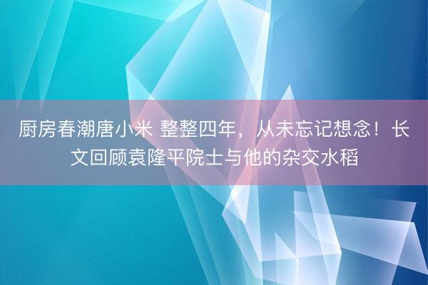 厨房春潮唐小米 整整四年，从未忘记想念！长文回顾袁隆平院士与他的杂交水稻