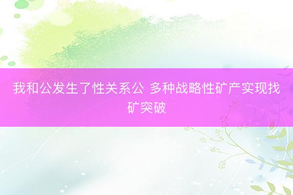 我和公发生了性关系公 多种战略性矿产实现找矿突破
