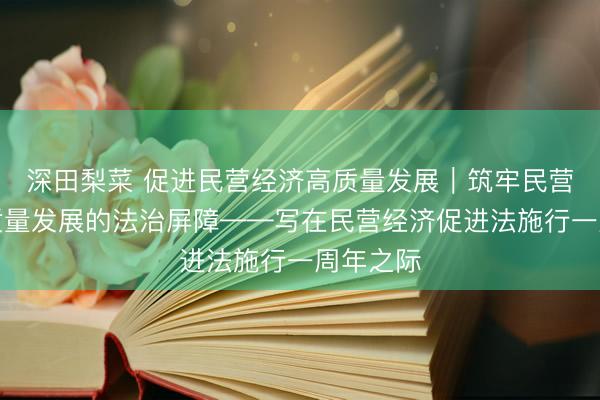 深田梨菜 促进民营经济高质量发展｜筑牢民营经济高质量发展的法治屏障——写在民营经济促进法施行一周年之际