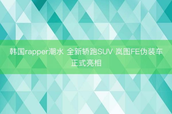 韩国rapper潮水 全新轿跑SUV 岚图FE伪装车正式亮相