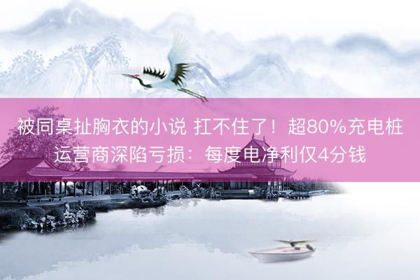 被同桌扯胸衣的小说 扛不住了！超80%充电桩运营商深陷亏损：每度电净利仅4分钱