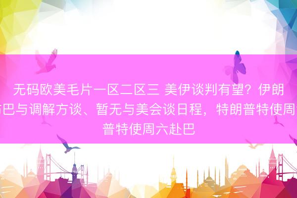 无码欧美毛片一区二区三 美伊谈判有望？伊朗外长访巴与调解方谈、暂无与美会谈日程，特朗普特使周六赴巴