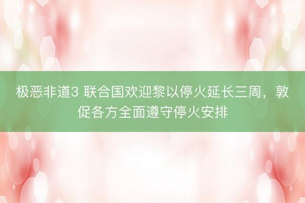 极恶非道3 联合国欢迎黎以停火延长三周，敦促各方全面遵守停火安排