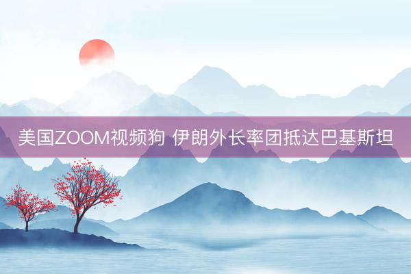 美国ZOOM视频狗 伊朗外长率团抵达巴基斯坦