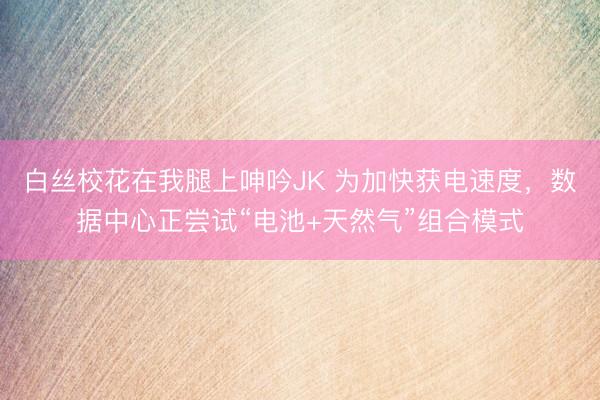 白丝校花在我腿上呻吟JK 为加快获电速度，数据中心正尝试“电池+天然气”组合模式