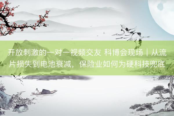 开放刺激的一对一视频交友 科博会现场｜从流片损失到电池衰减，保险业如何为硬科技兜底