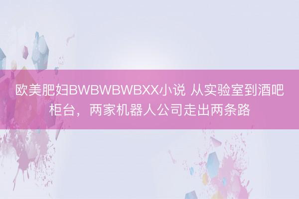 欧美肥妇BWBWBWBXX小说 从实验室到酒吧柜台，两家机器人公司走出两条路