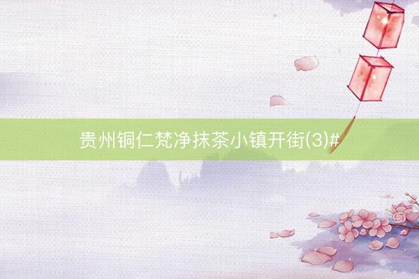 贵州铜仁梵净抹茶小镇开街(3)#