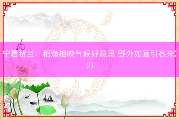 宁夏贺兰：稻渔相映气候好意思 野外如画引客来(2)