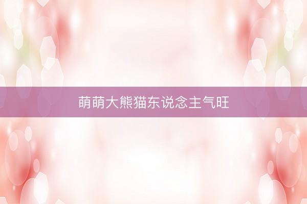 萌萌大熊猫东说念主气旺