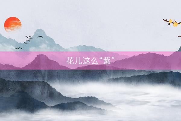 花儿这么“紫”