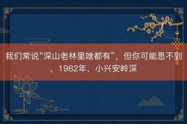 我们常说“深山老林里啥都有”，但你可能思不到，1982年，小兴安岭深
