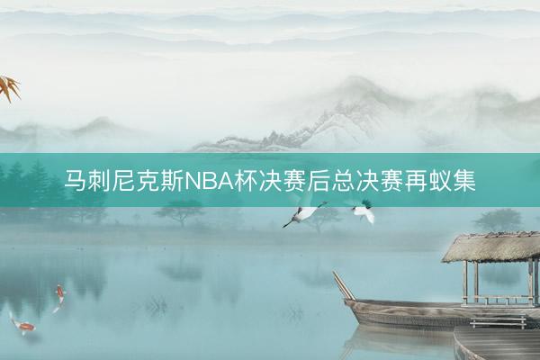 马刺尼克斯NBA杯决赛后总决赛再蚁集