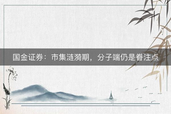国金证券：市集涟漪期，分子端仍是眷注点