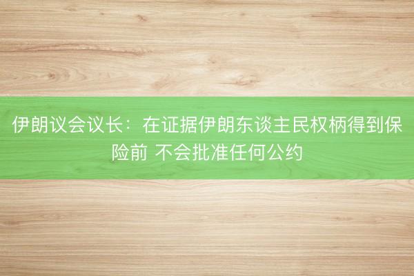 伊朗议会议长：在证据伊朗东谈主民权柄得到保险前 不会批准任何公约