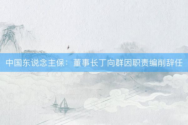 中国东说念主保：董事长丁向群因职责编削辞任