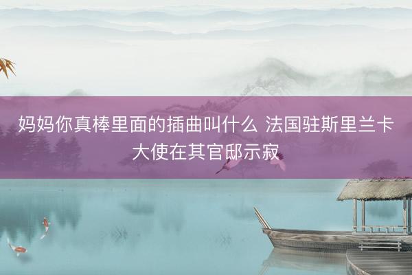 妈妈你真棒里面的插曲叫什么 法国驻斯里兰卡大使在其官邸示寂