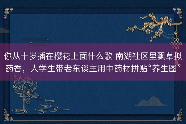 你从十岁插在樱花上面什么歌 南湖社区里飘草拟药香，大学生带老东谈主用中药材拼贴“养生图”