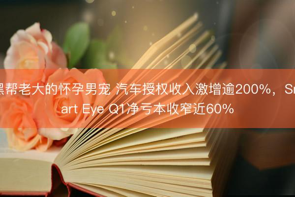 黑帮老大的怀孕男宠 汽车授权收入激增逾200%，Smart Eye Q1净亏本收窄近60%