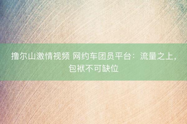 撸尔山激情视频 网约车团员平台：流量之上，包袱不可缺位