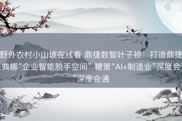 野外农村小山坡在线看 鼎捷数智叶子祯：打造鼎捷雅典娜“企业智能脱手空间” 鞭策“AI+制造业”深度会通